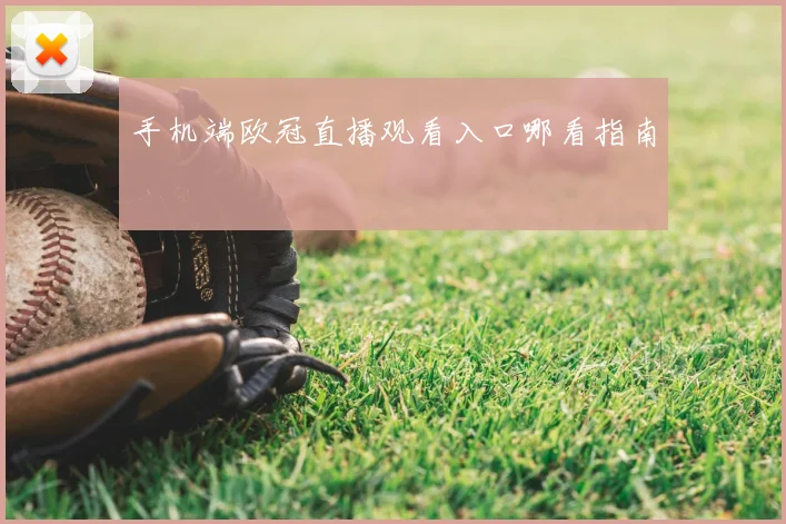 手机端欧冠直播观看入口哪看指南