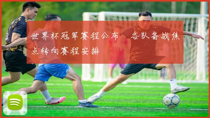 世界杯冠军赛程公布　各队备战焦点转向赛程安排