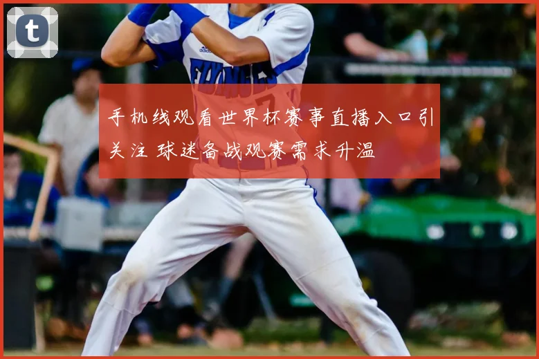 手机线观看世界杯赛事直播入口引关注 球迷备战观赛需求升温