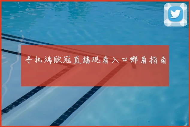 手机端欧冠直播观看入口哪看指南