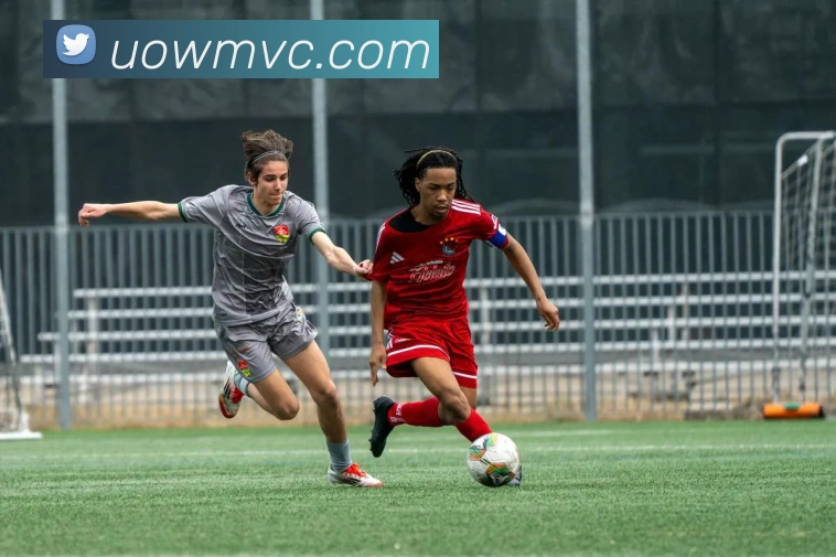 mksports官方登录入口服务体系