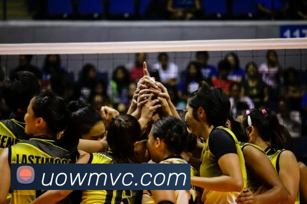 世界杯app官网APP 封面图